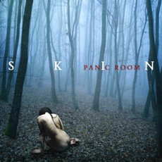 Panic Room - Skin - CD Cover